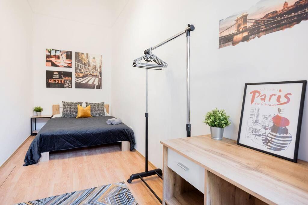 Apartment Secluded Spacious Oasis-best Location In Downtown Budapest