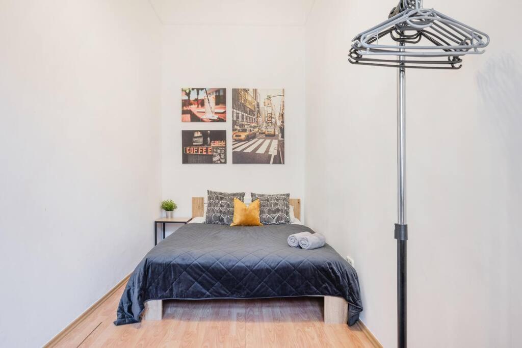Secluded Spacious Oasis-best Location In Downtown Apartment Budapest